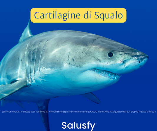 Cartilagine di Squalo: un aiuto impressionante per il tuo organismo