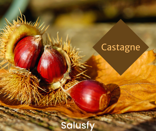 Castagne: 2 particolari proprietà nutrizionali