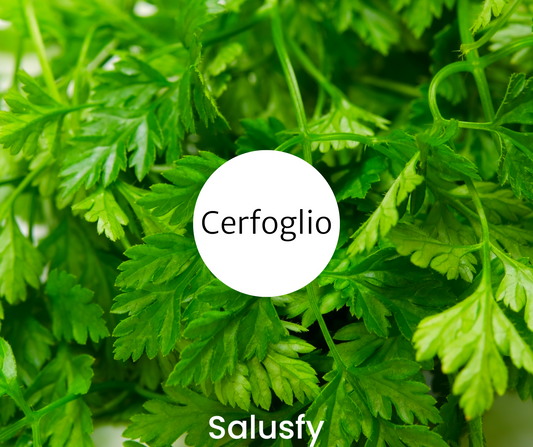 Cerfoglio: un aiuto prezioso per 5 diverse occasioni