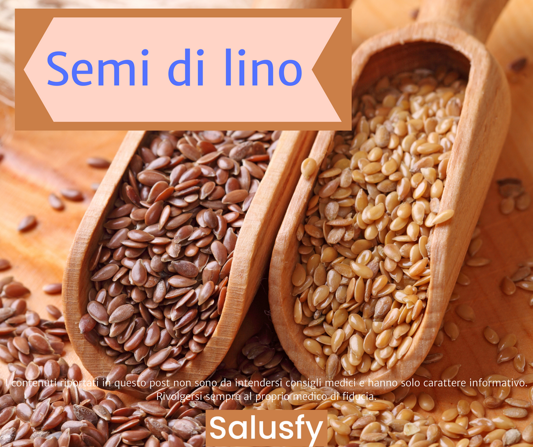 Semi di lino