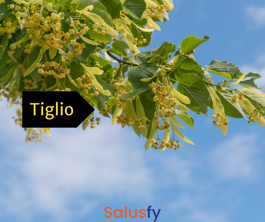Tiglio: 3 proprietà che ti sorprenderanno