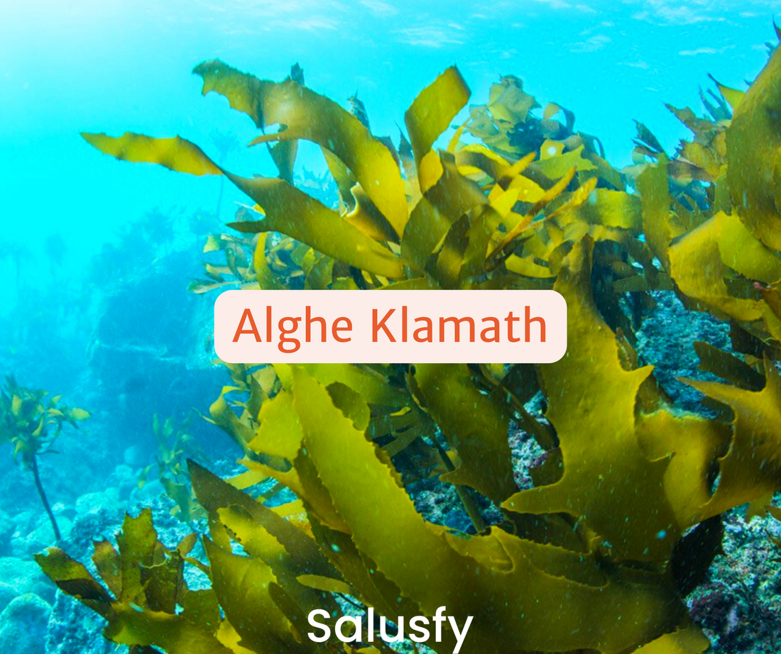 Alghe di Klamath: 3 benefici per il nostro organismo