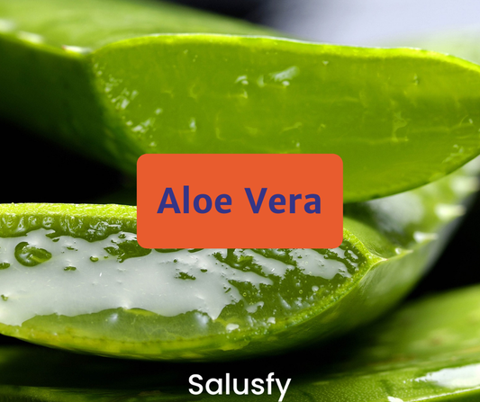 Aloe vera: 4 benefici del suo succo