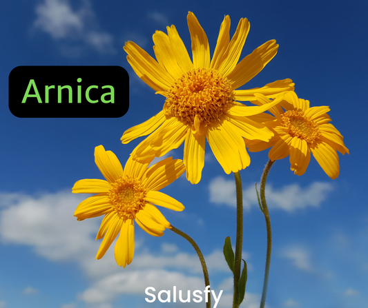 Arnica: 2 utilizzi ultra efficaci