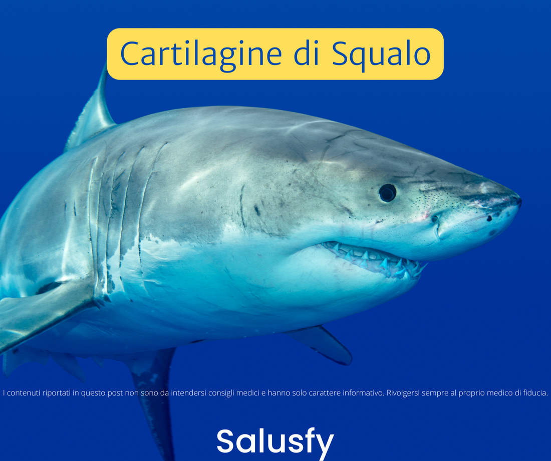 Cartilagine di Squalo: un aiuto impressionante per il tuo organismo
