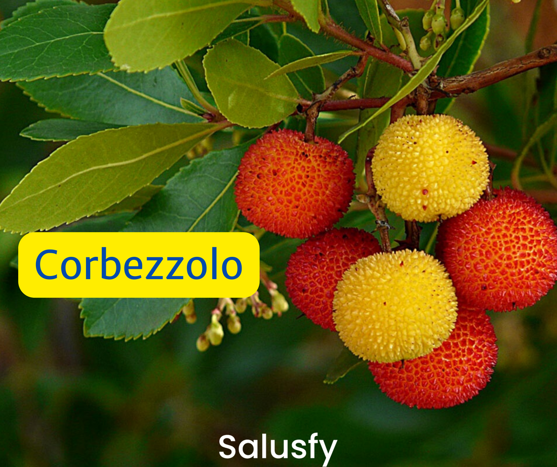 Corbezzolo