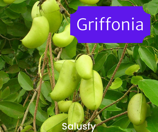 Griffonia