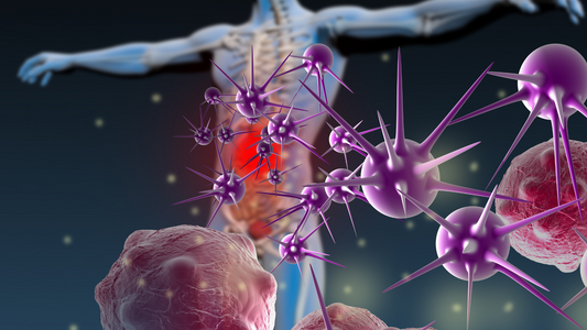Lattoferrina, caratteristiche principali, controindicazioni e modalità di utilizzo