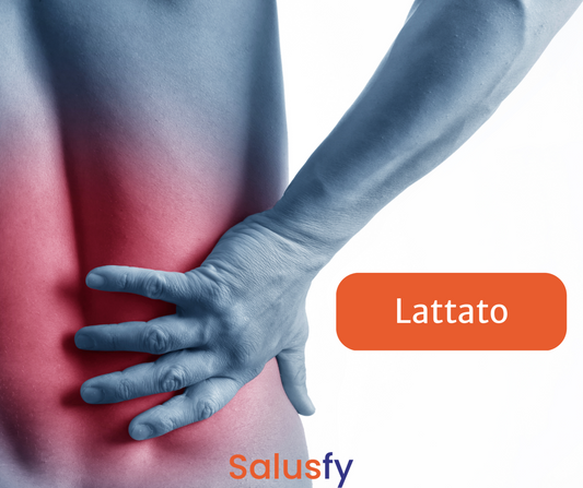 Lattato: un supporto prezioso per il tuo organismo