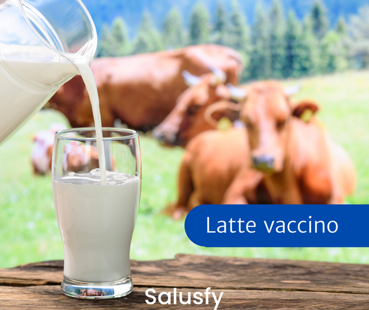 Latte vaccino: perché ha questo determinato nome?