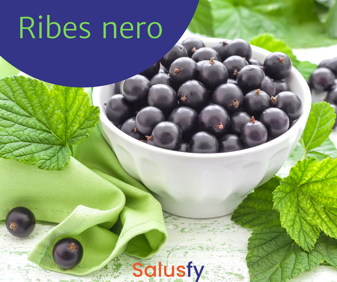 Ribes nero: un alleato incredibile per il tuo sistema immunitario