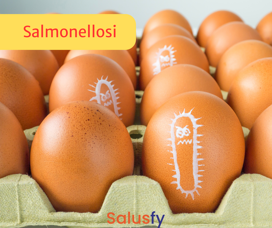 Salmonellosi: cosa è necessario sapere