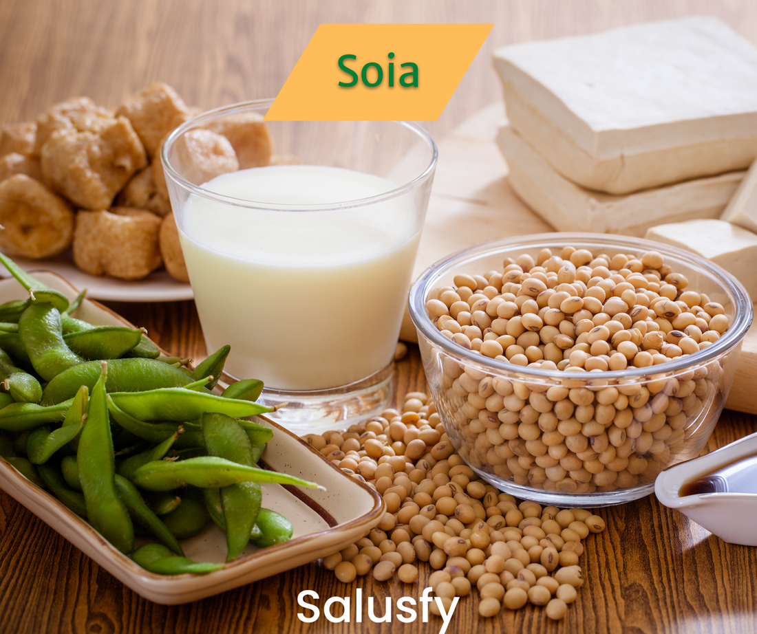 Soia: pilastro insostituibile della dieta vegetariana