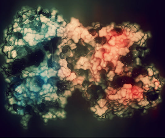 Lattoferrina: come continuare a rinforzare il sistema immunitario anche dopo la pandemia