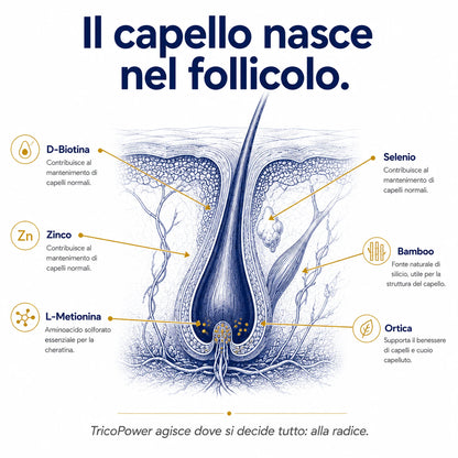 Biotina TricoPower Ribovita®
