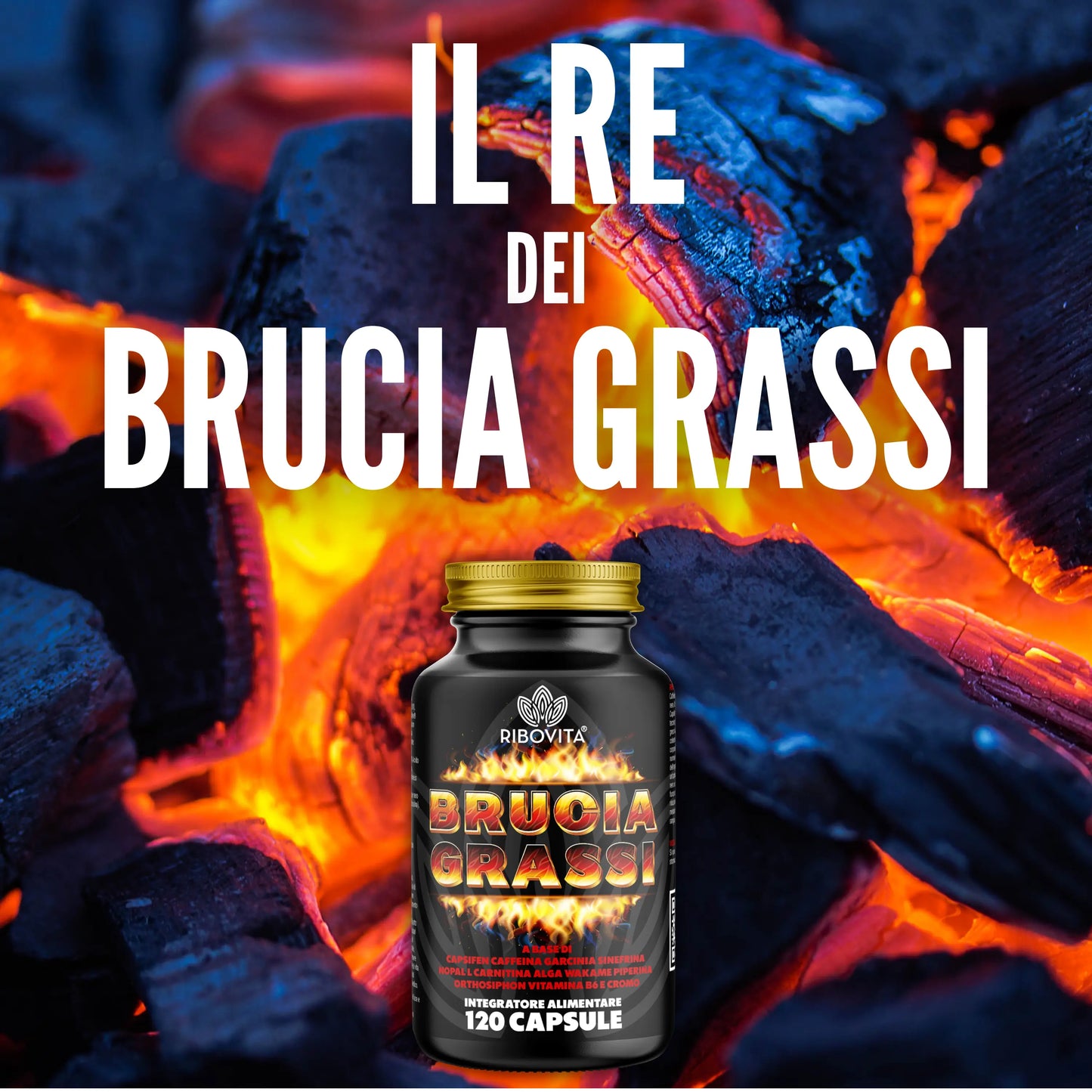 BRUCIA GRASSI