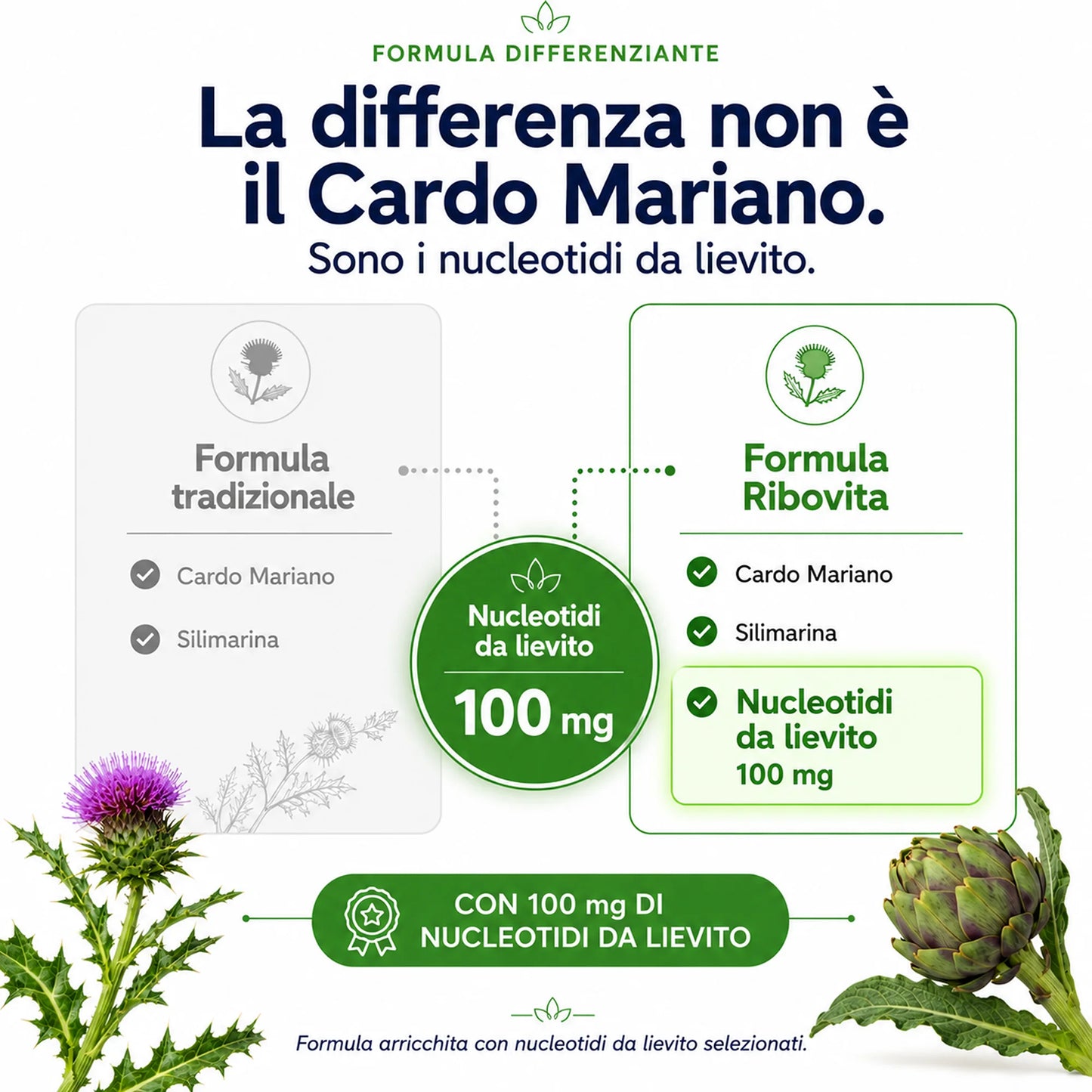 Cardo Mariano Ribovita® - Depurativo con Silimarina