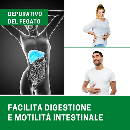 Cardo Mariano Ribovita® - Depurativo con Silimarina