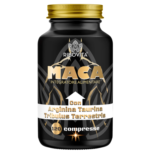 MACA